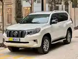 Toyota Land Cruiser Prado, 2010-5