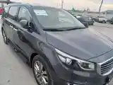 Kia Carnival, 2015-9