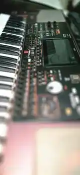 Синтезатор Korg Pa 1000-2