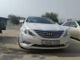 Hyundai Sonata, 2010-4