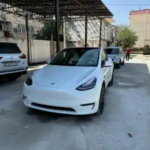 Tesla Model Y, 2021