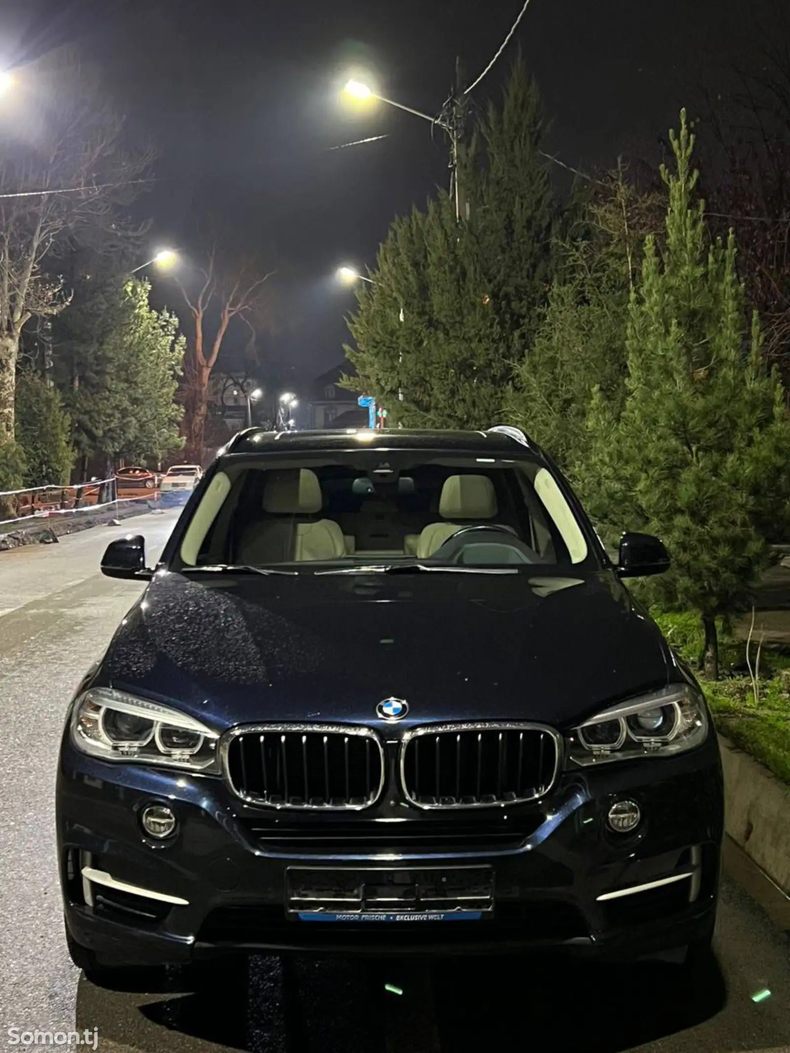 BMW X5, 2014-1