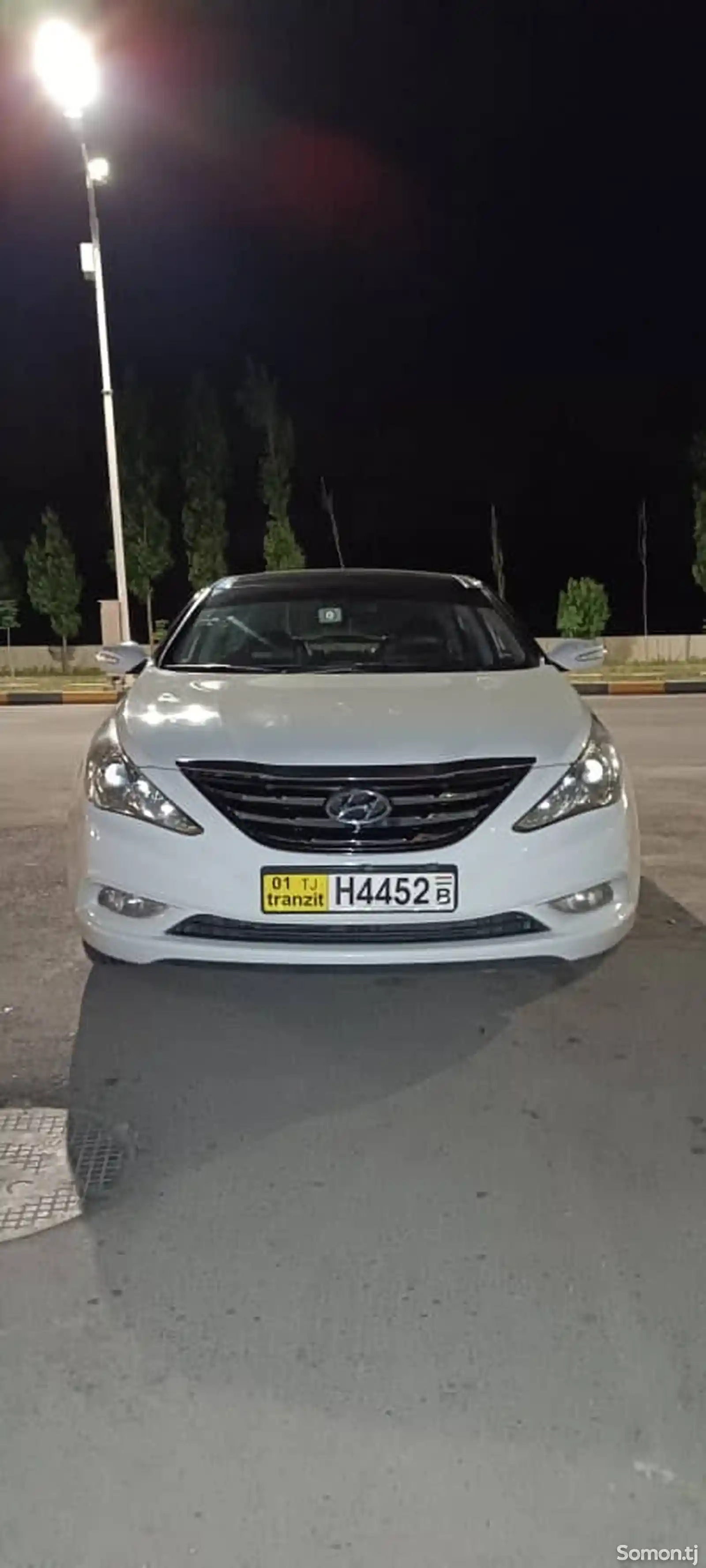 Hyundai Sonata, 2010-1