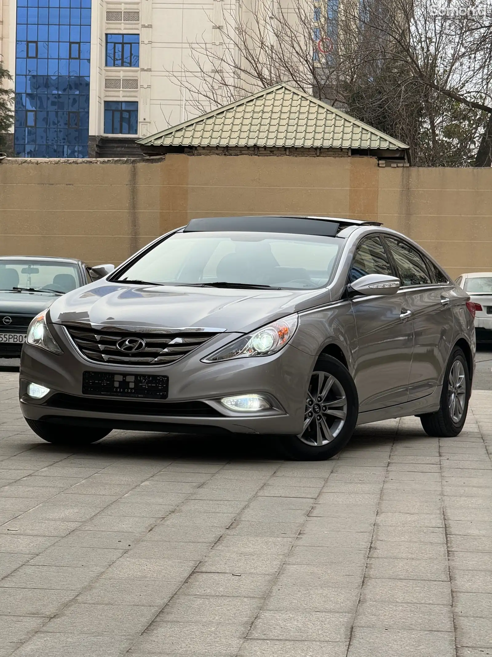 Hyundai Sonata, 2010-1