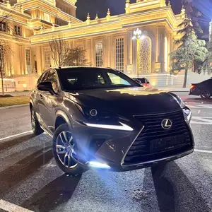 Lexus NX series, 2019