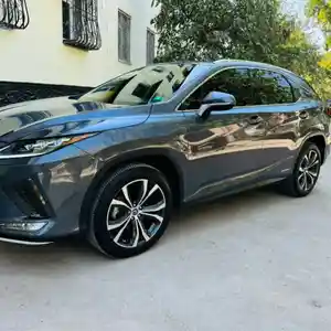 Lexus RX series, 2019