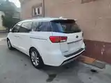 Kia Carnival, 2014-3