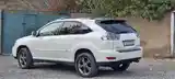 Lexus RX series, 2007-3