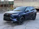 Toyota RAV 4, 2024-2