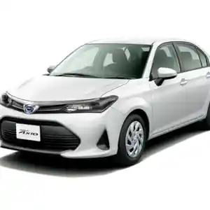 Лобовое стекло Toyota Corolla Axio 2016