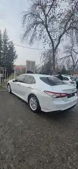 Toyota Camry, 2019-3