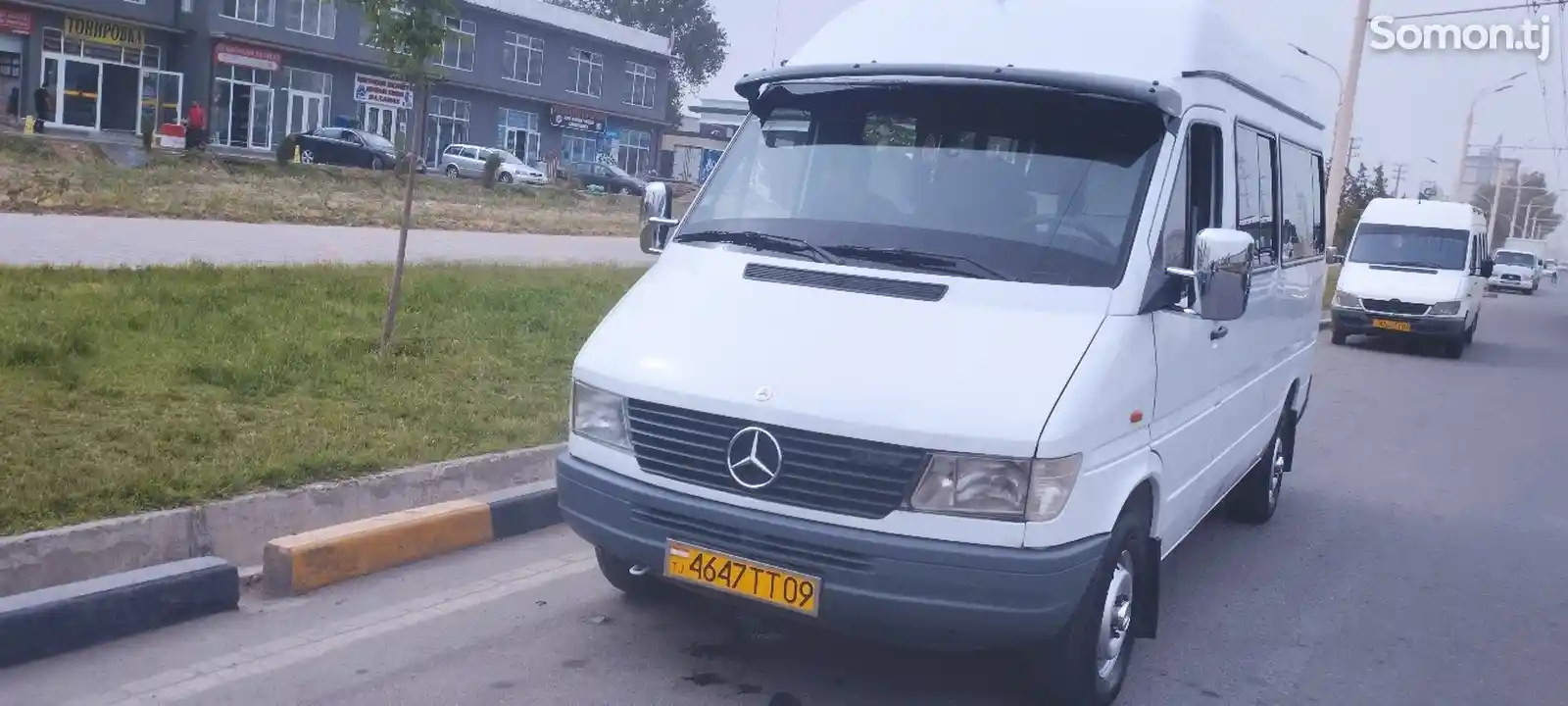 Микроавтобус Mercedes-Benz Sprinter, 1999-1