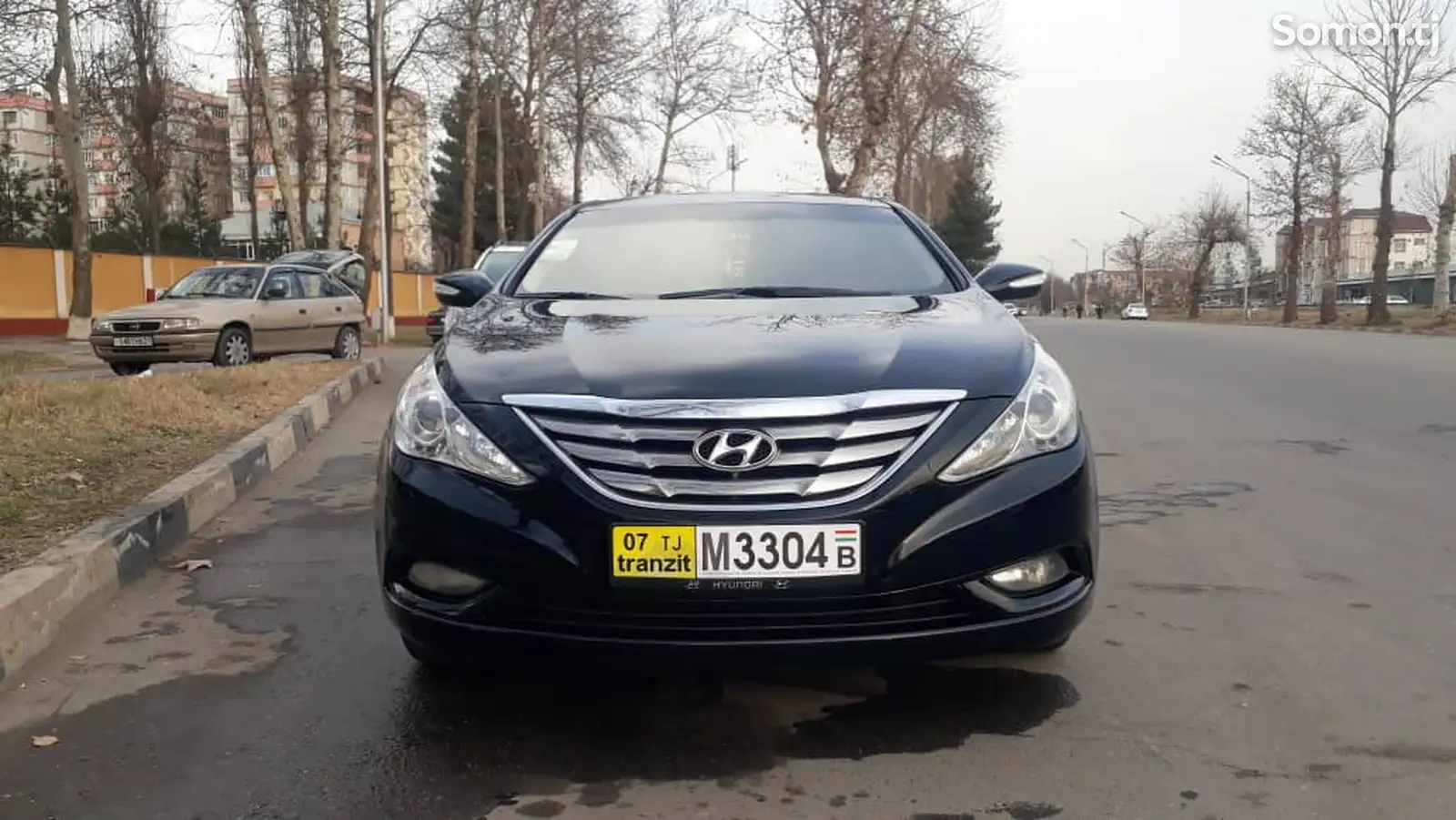 Hyundai Sonata, 2010-1