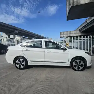 Dongfeng Forthing, 2022