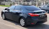 Toyota Corolla, 2014-5