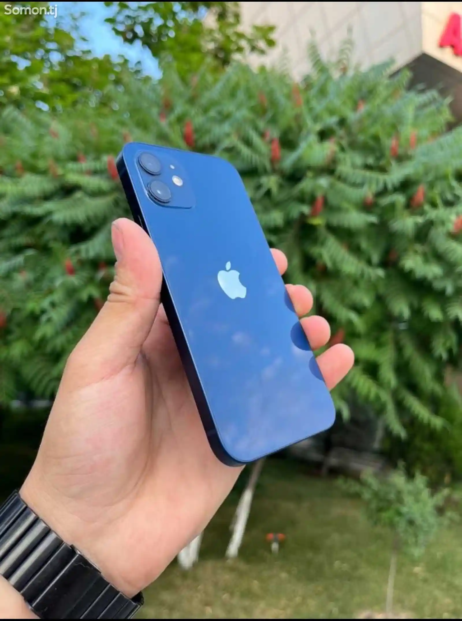 Apple iPhone 12, 128 gb, Blue-3