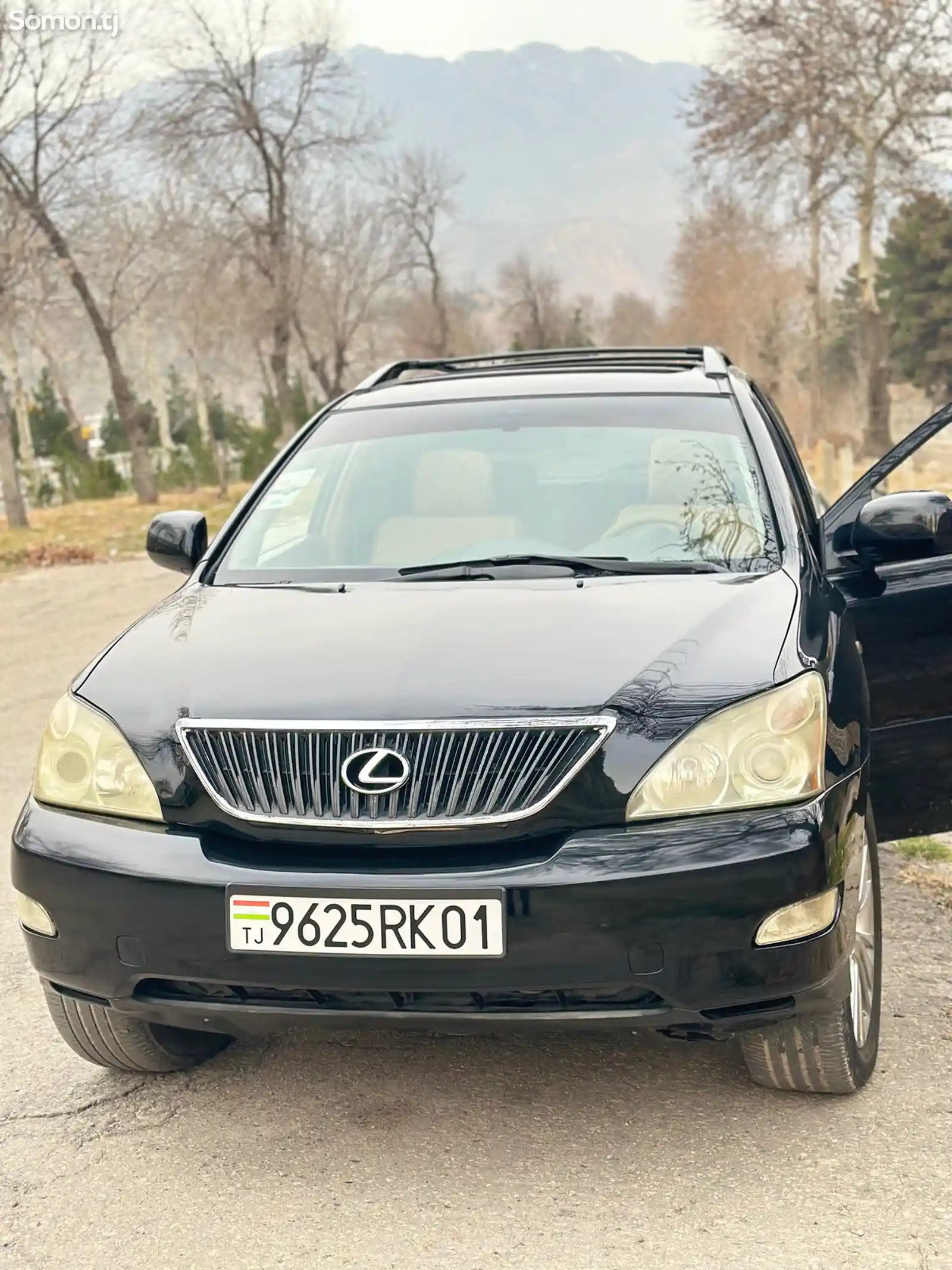 Lexus RX series, 2004-1