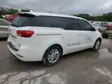 Kia Carnival, 2017-4