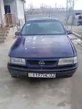 Opel Vectra A, 1993-4