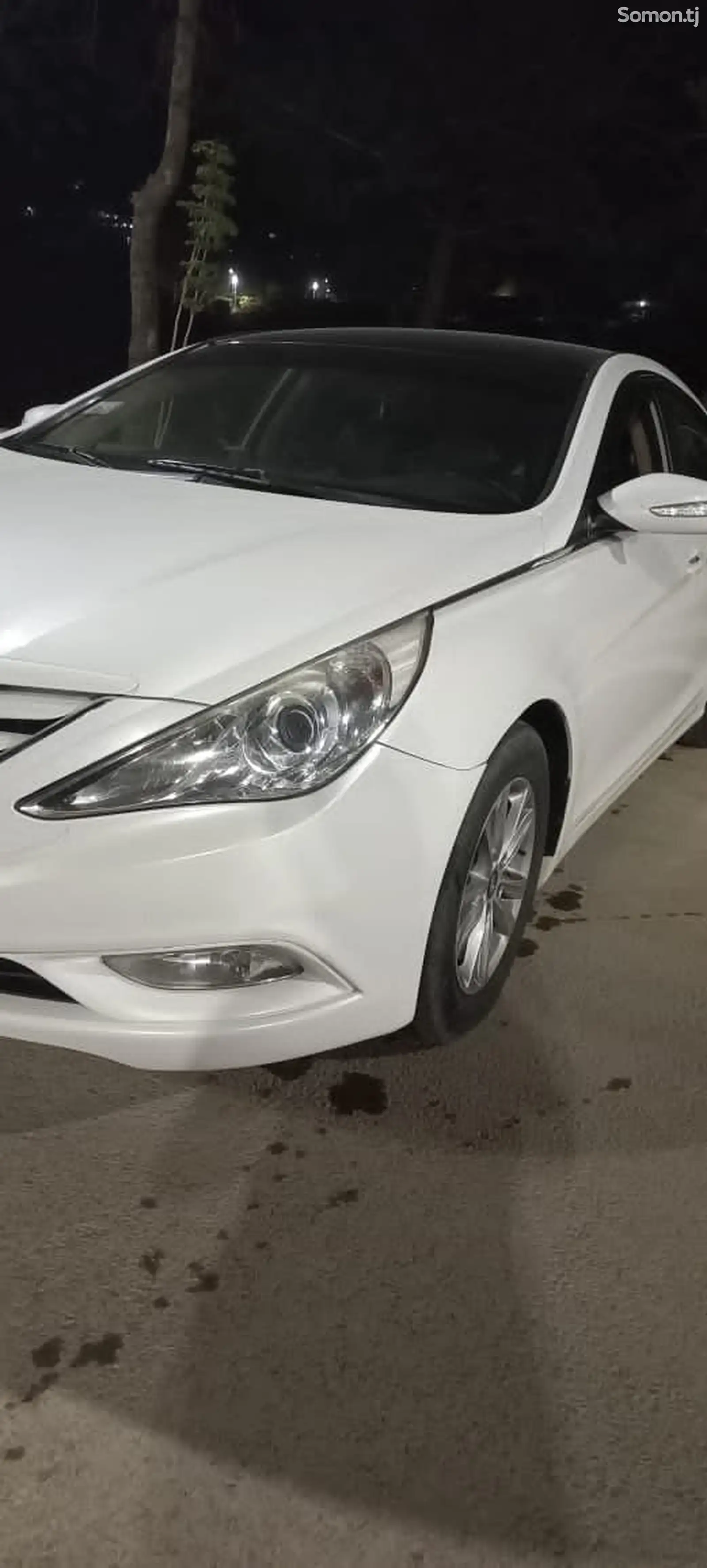 Hyundai Sonata, 2011-7