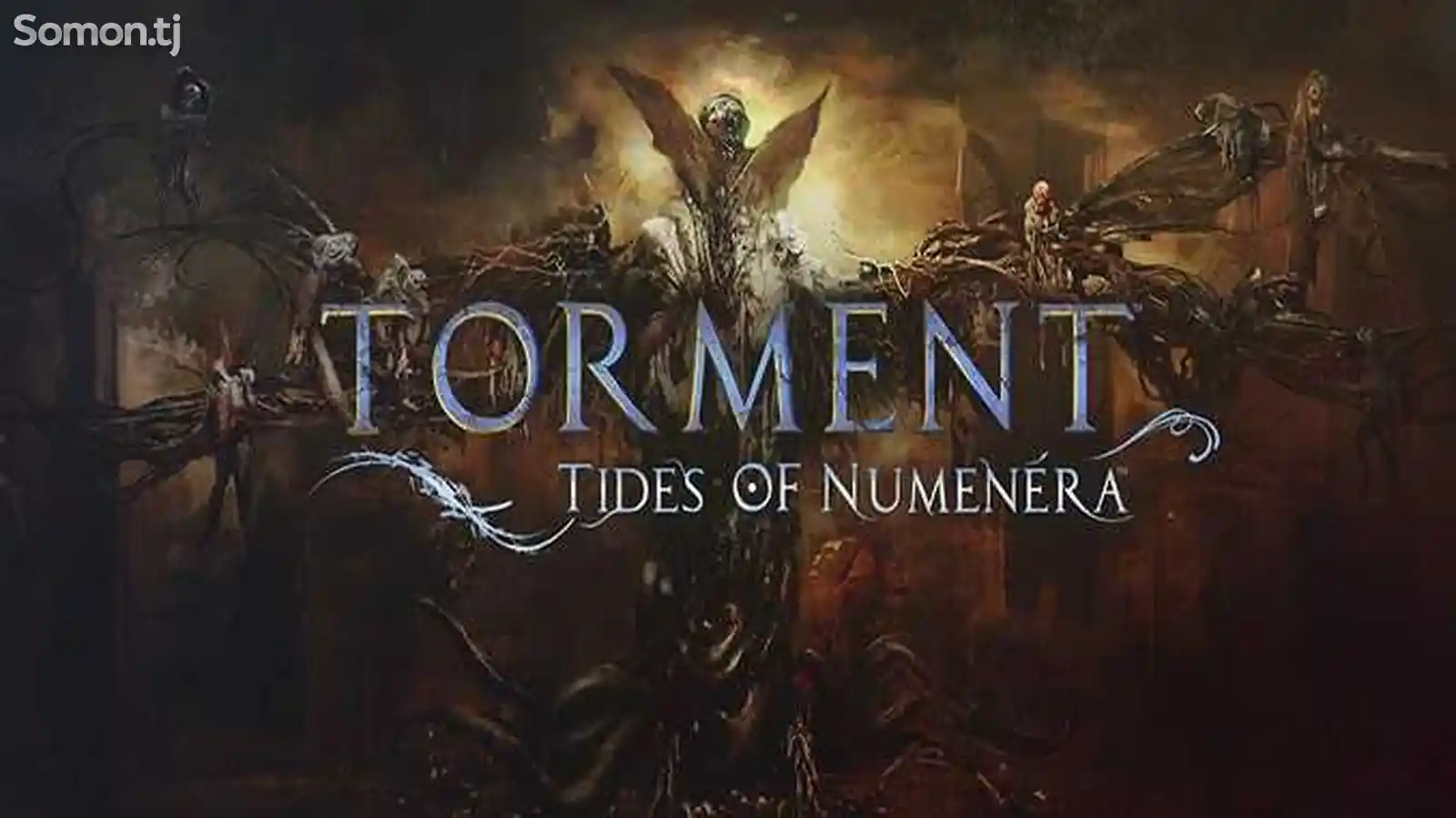 Игра Torment tides of numenera для PS-4 / 5.05 / 6.72 / 7.02 / 7.55 / 9.00 /