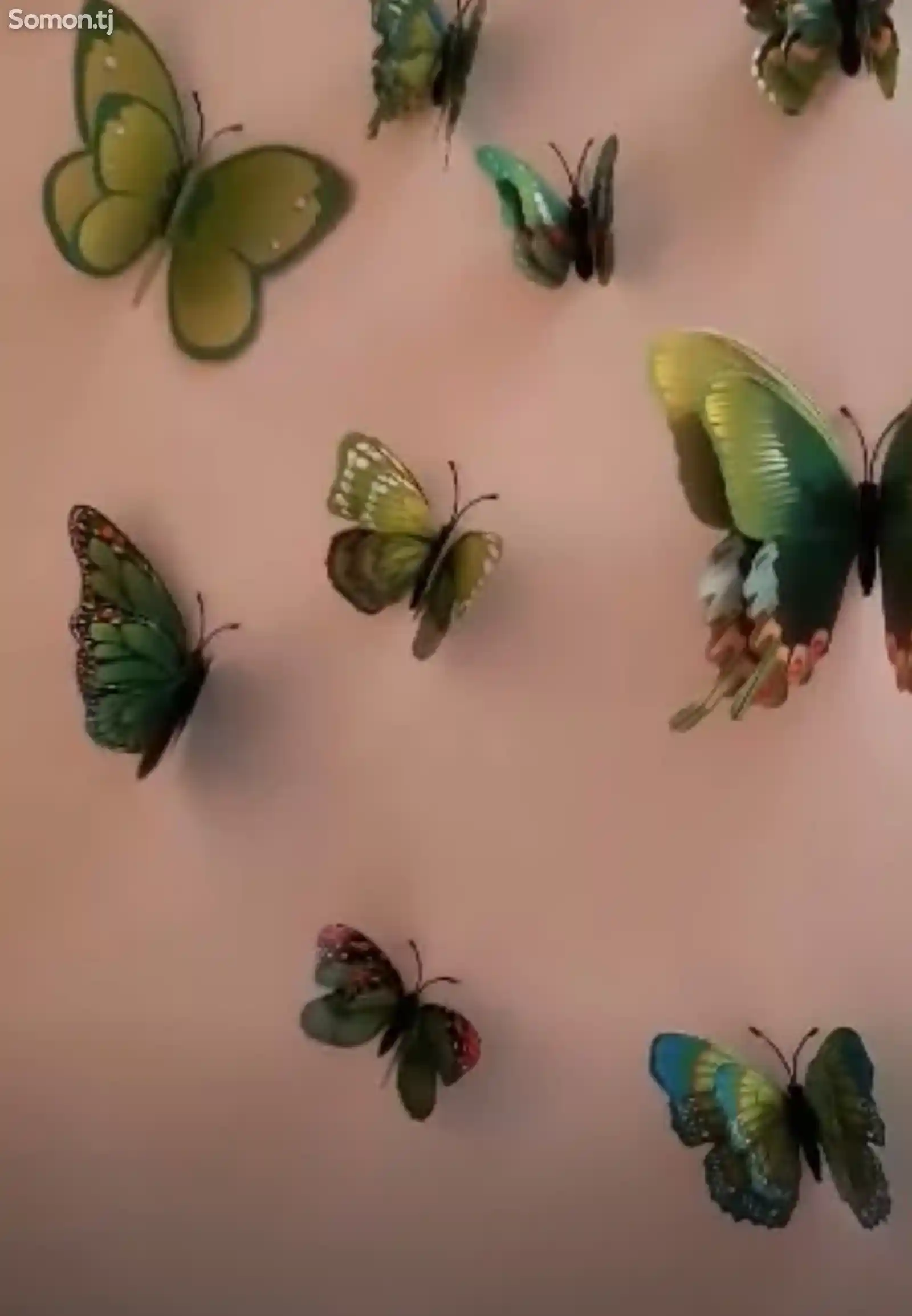 Настенные бабочки-1