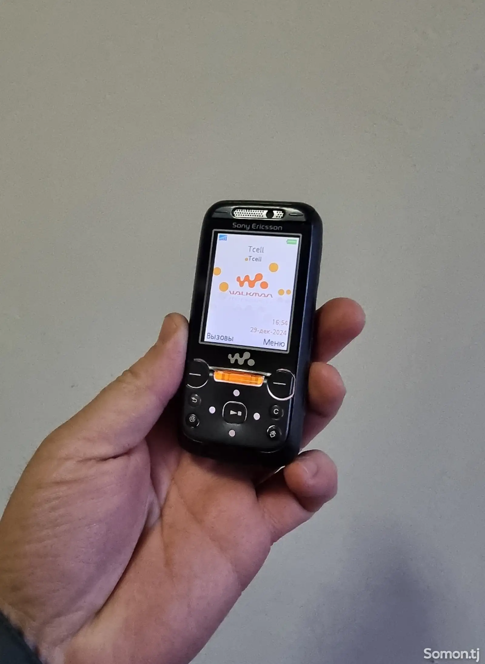 Sony Ericsson W850i-1