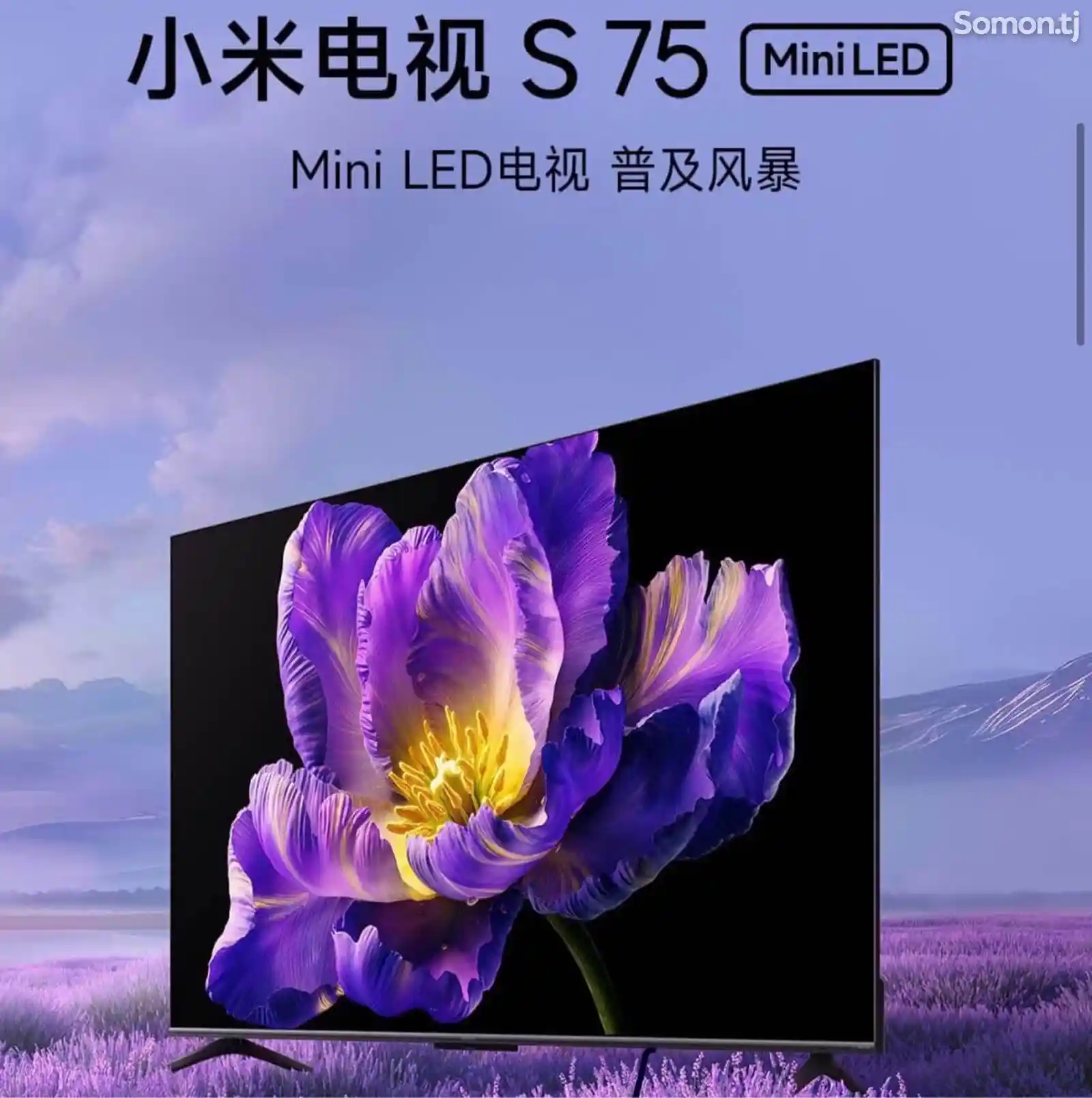 Телевизор Xiaomi TV S75 Mini Led-1