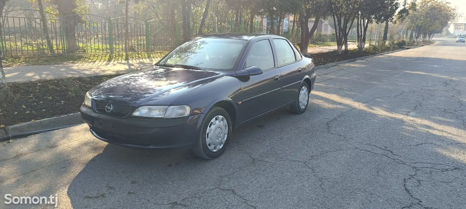 Opel Vectra B, 1995-1