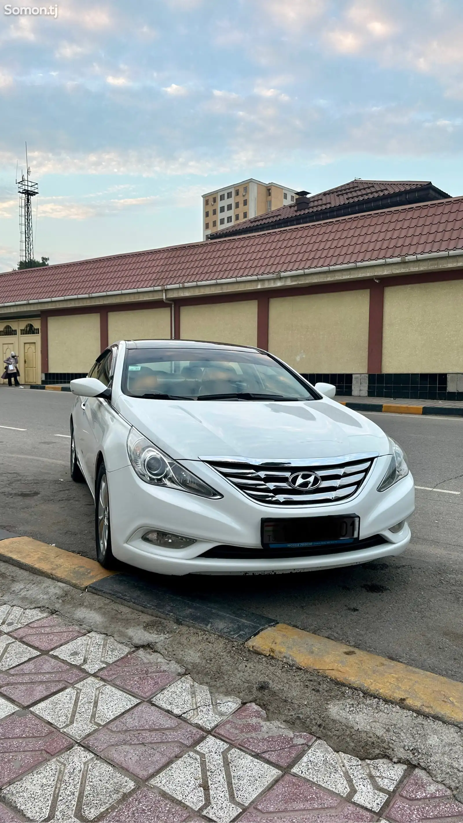 Hyundai Sonata, 2010-1