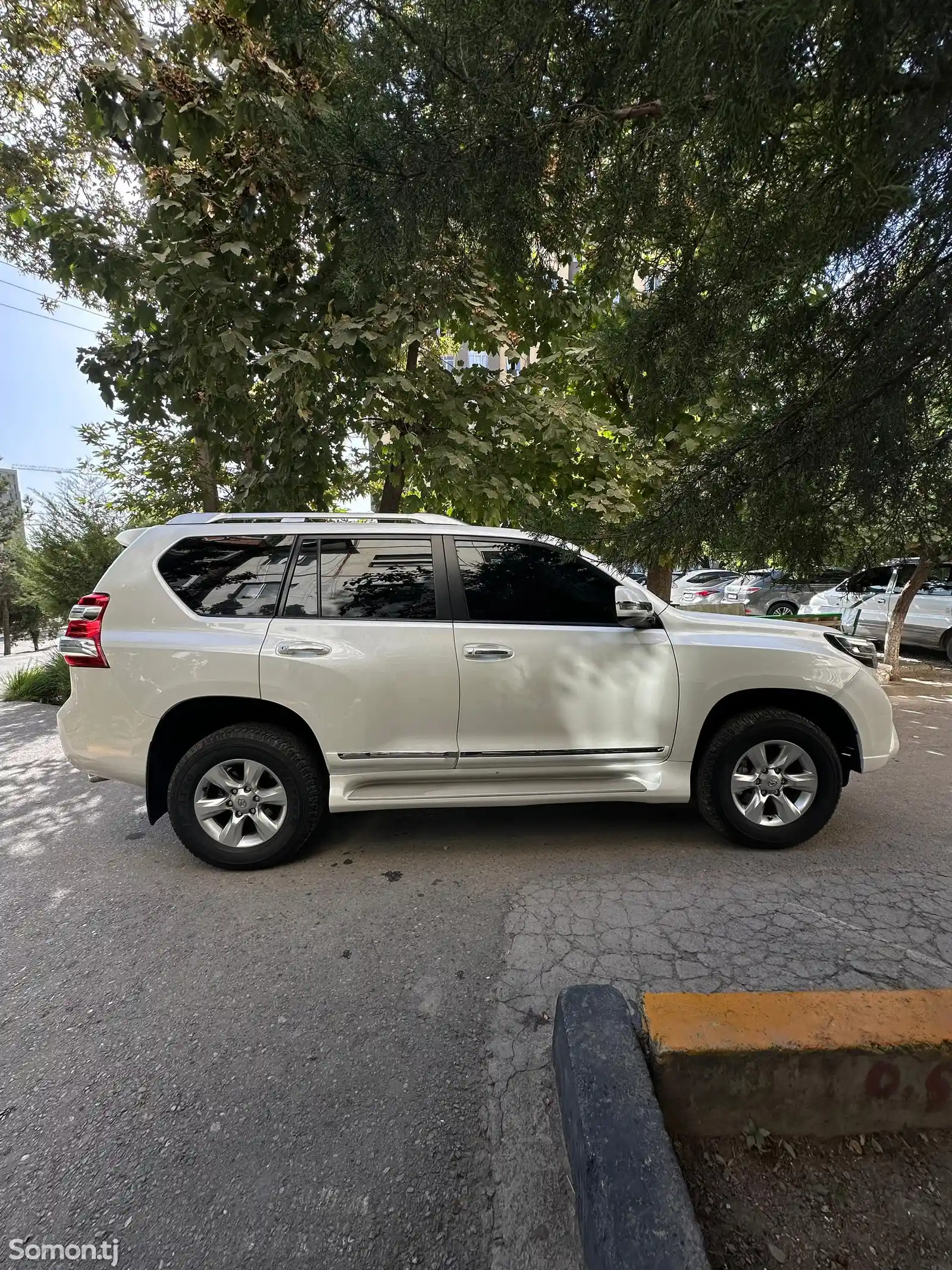 Toyota Land Cruiser Prado, 2013-3