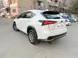 Lexus NX series, 2021-3