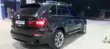 BMW X5, 2009-5