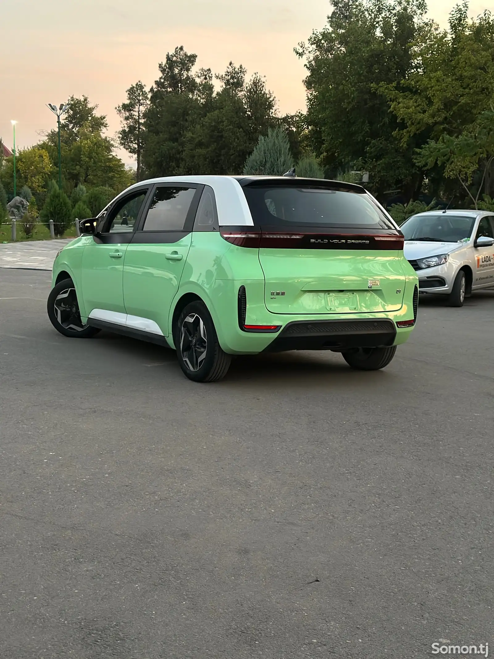 BYD Другие модели, 2021-4