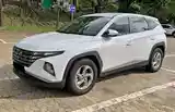 Лобовое стекло заднее Hyundai Tucson-3