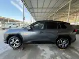 Toyota RAV 4, 2023-4