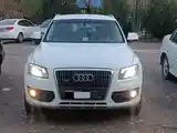 Audi Q5, 2010-7