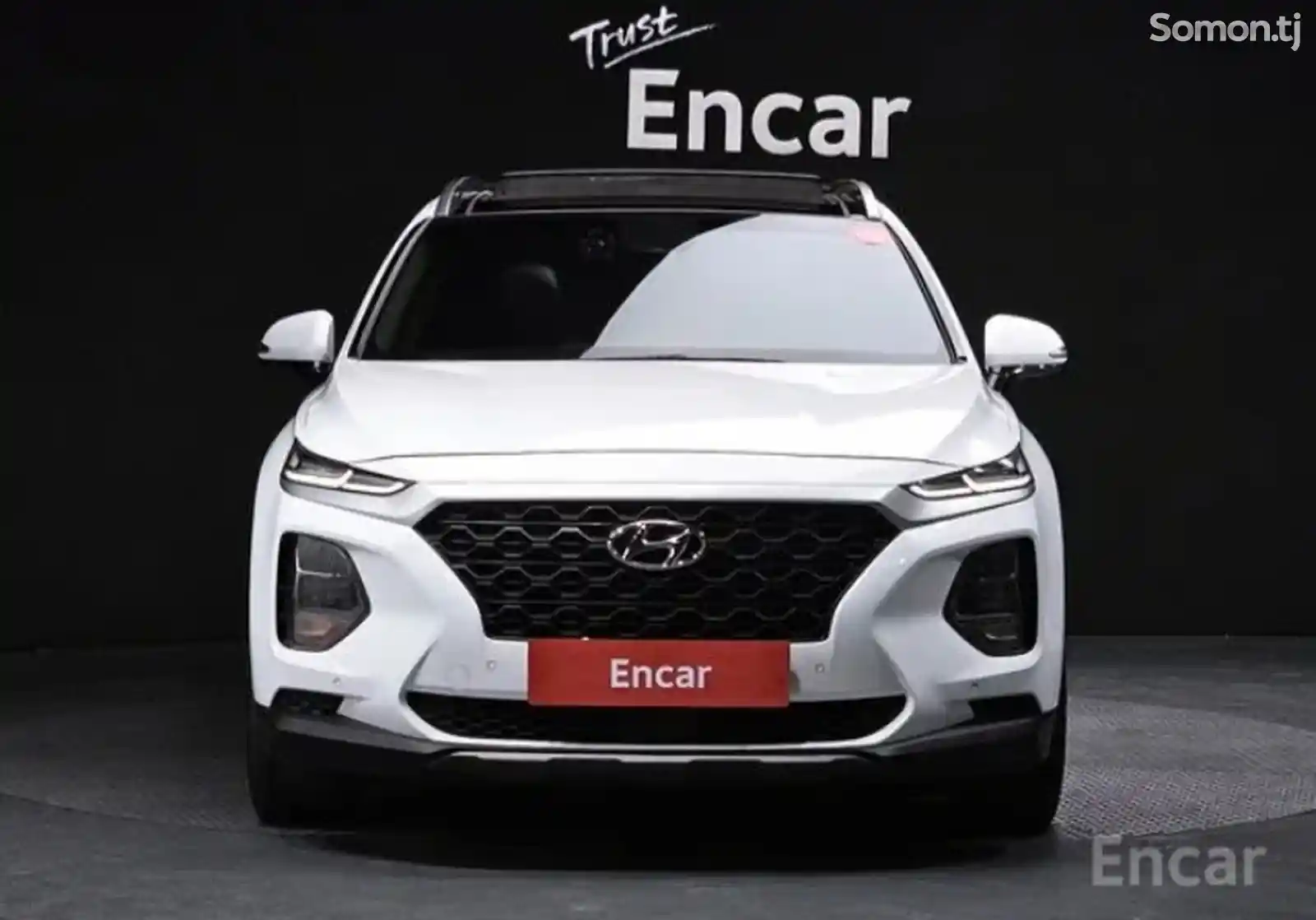 Hyundai Santa Fe, 2019-3