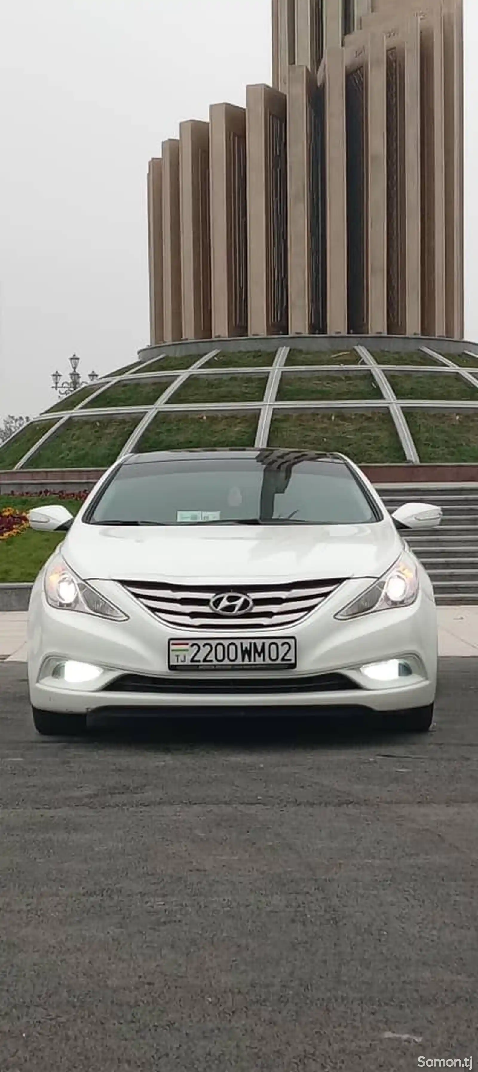 Hyundai Sonata, 2010-1