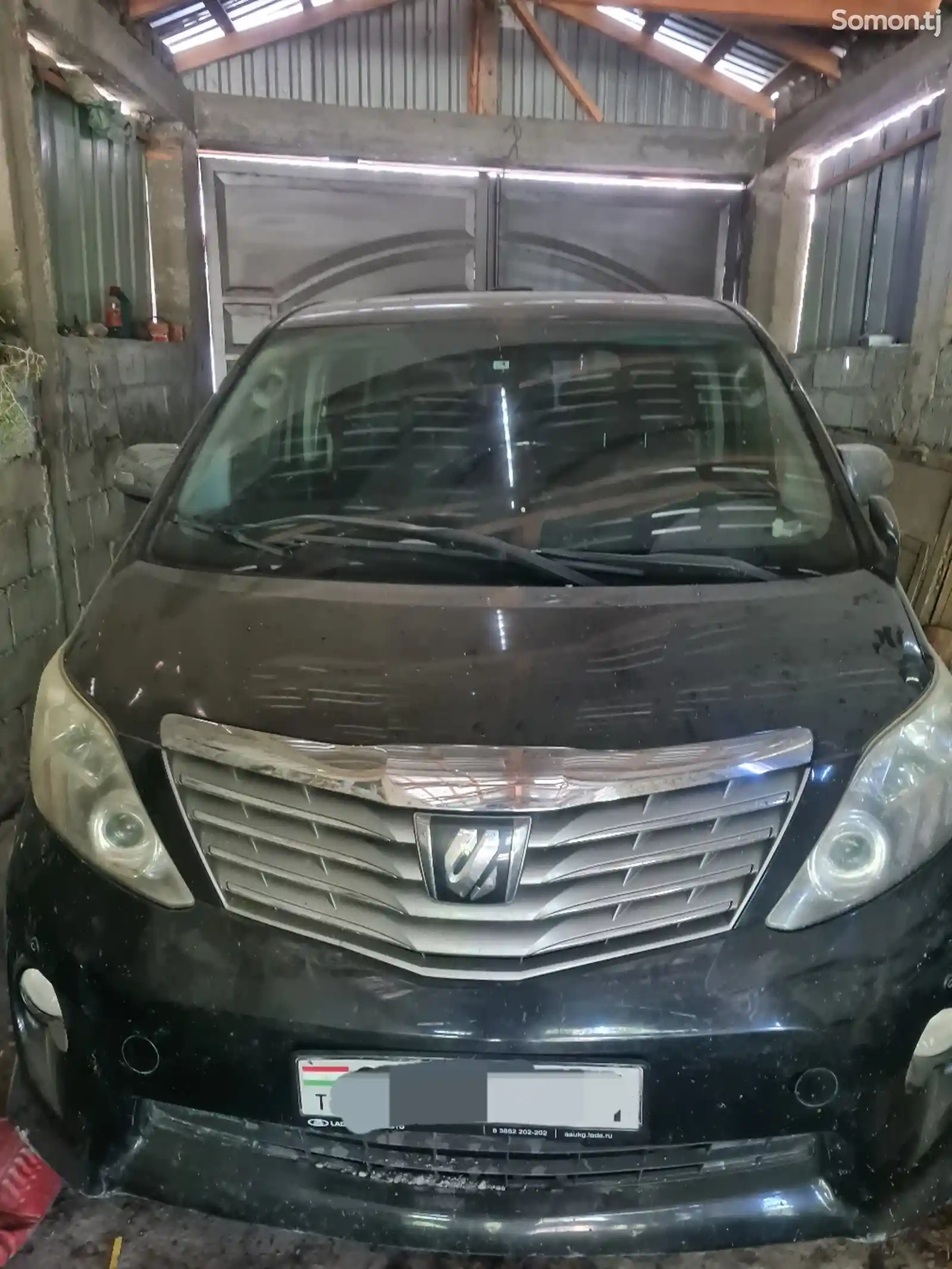 Toyota Alphard, 2010-1