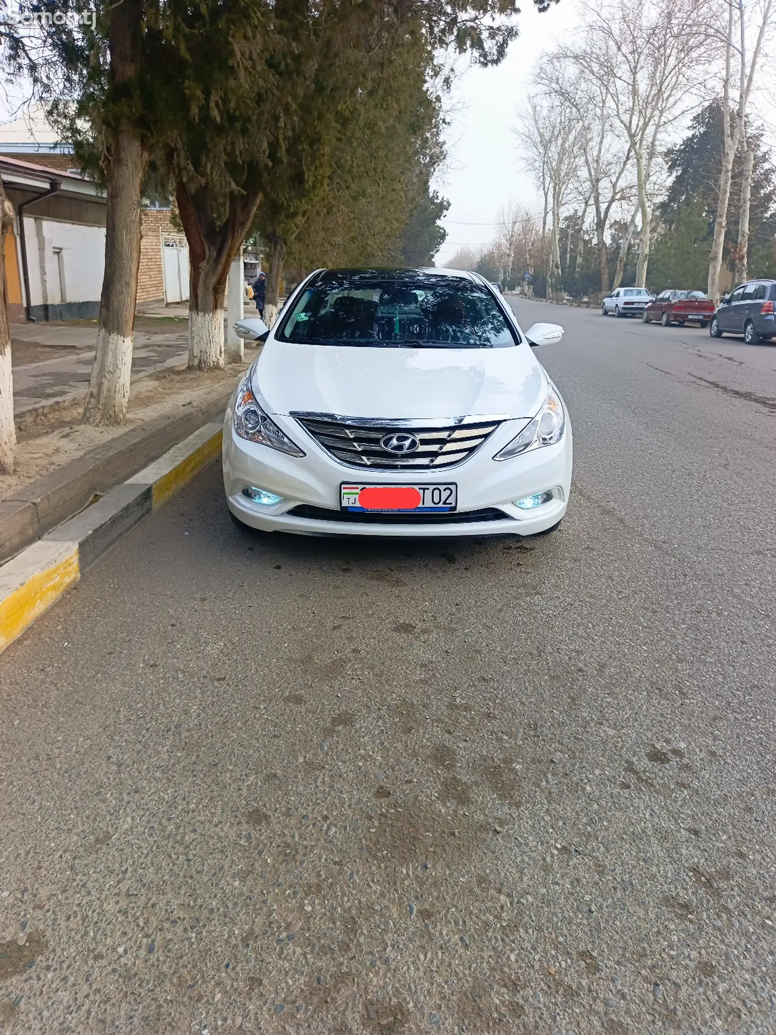 Hyundai Sonata, 2010-1