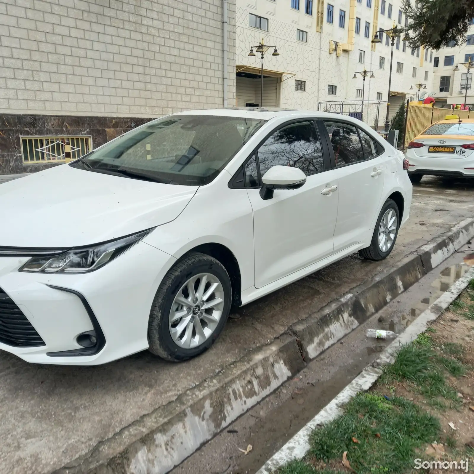 Toyota Corolla, 2023-1