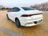 BYD Qin Plus, 2023-4