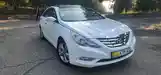 Hyundai Sonata, 2010-7