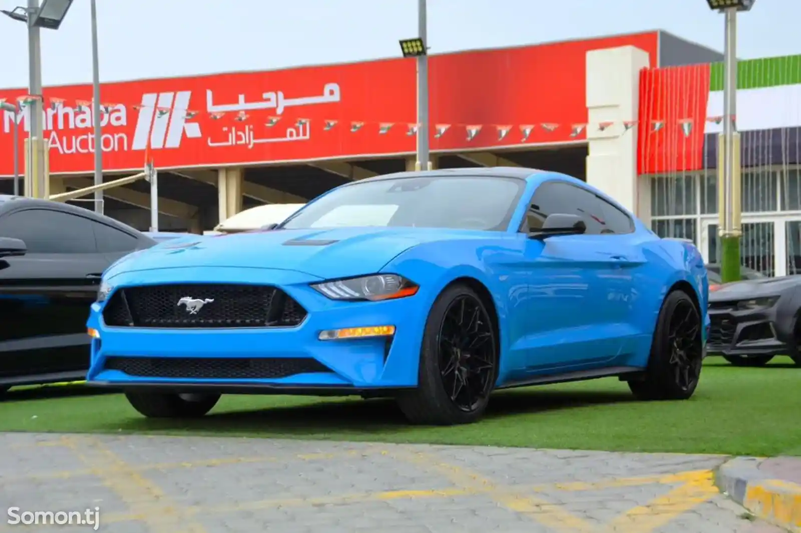 Ford Mustang, 2022-1