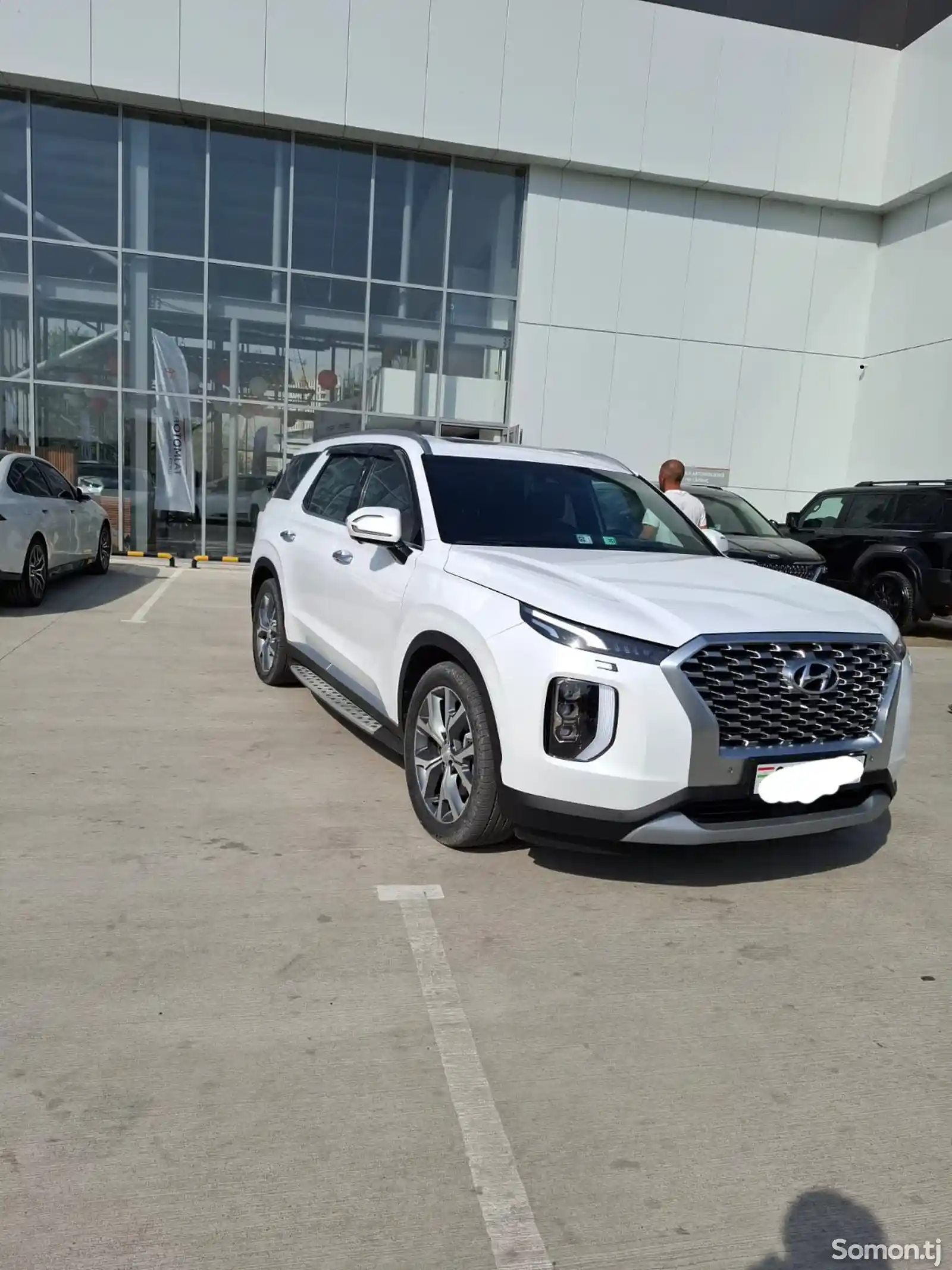 Hyundai Palisade, 2022-3