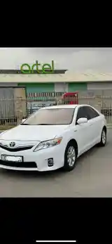 Toyota Camry, 2010-8