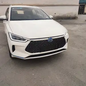 BYD E2, 2021