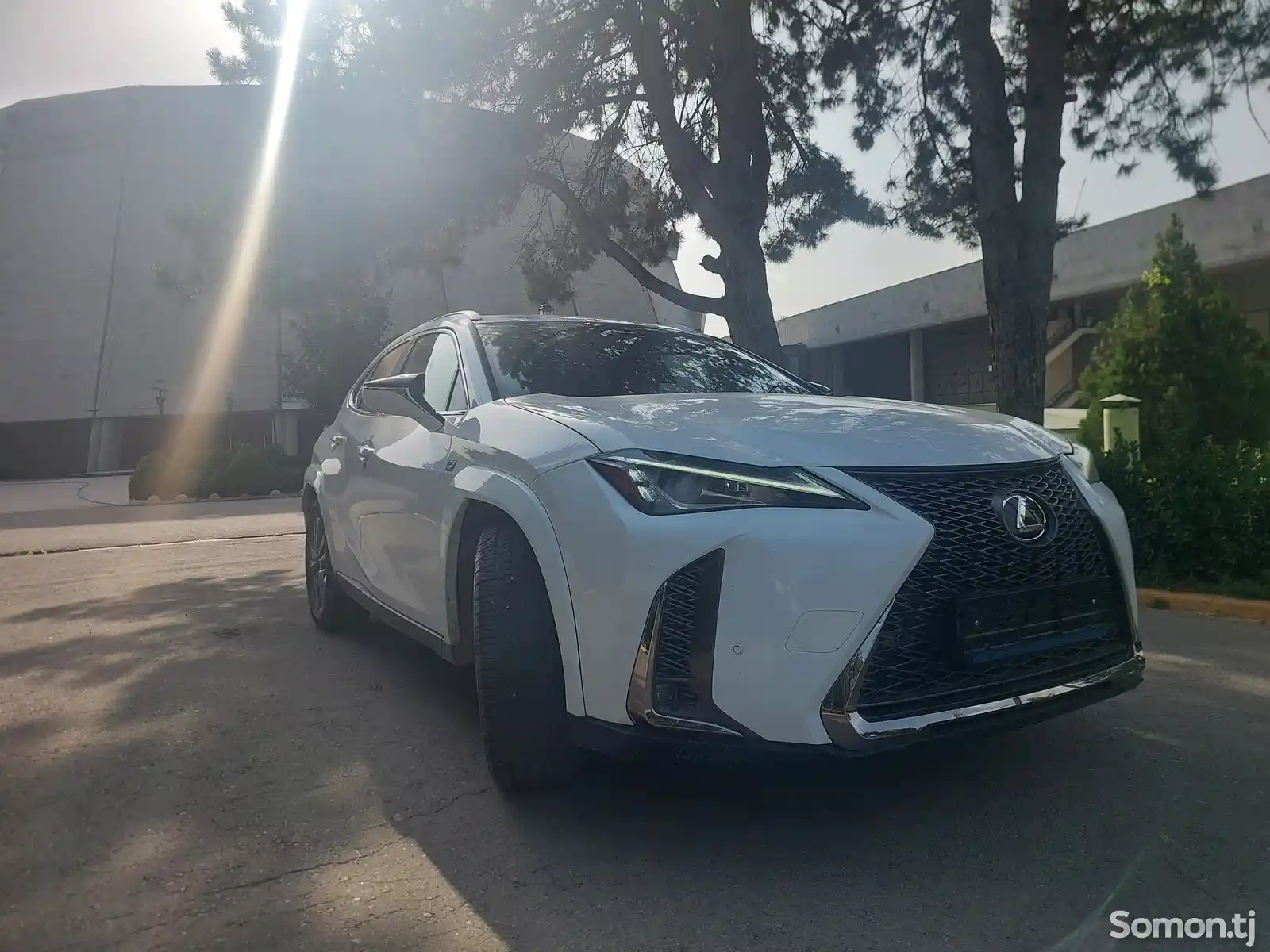 Lexus UX series, 2020-1