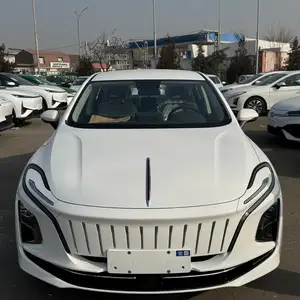 Hongqi E-QM5, 2024